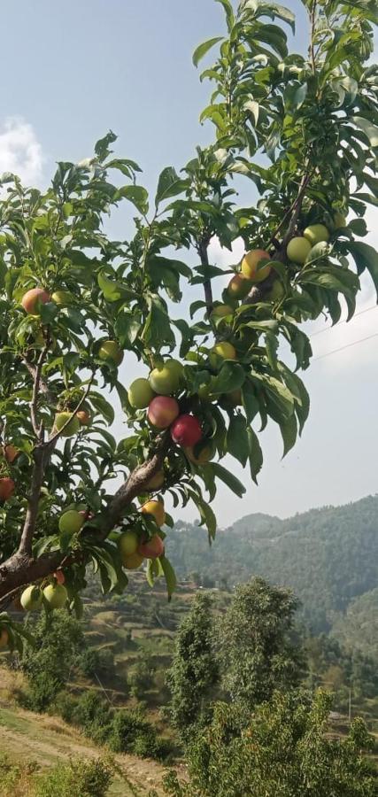 The Plum Διαμέρισμα Mukteshwar Εξωτερικό φωτογραφία